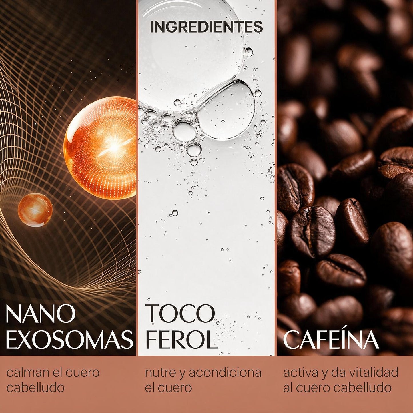 Lilyeve · Ampolla Capilar Coreana — «Gira & Densifica»